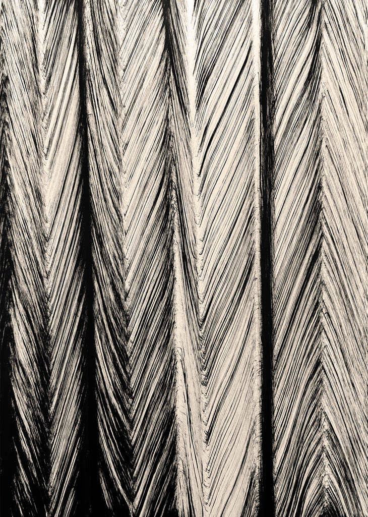 RESO_04_2024 · 01/2024 · Fischgräte