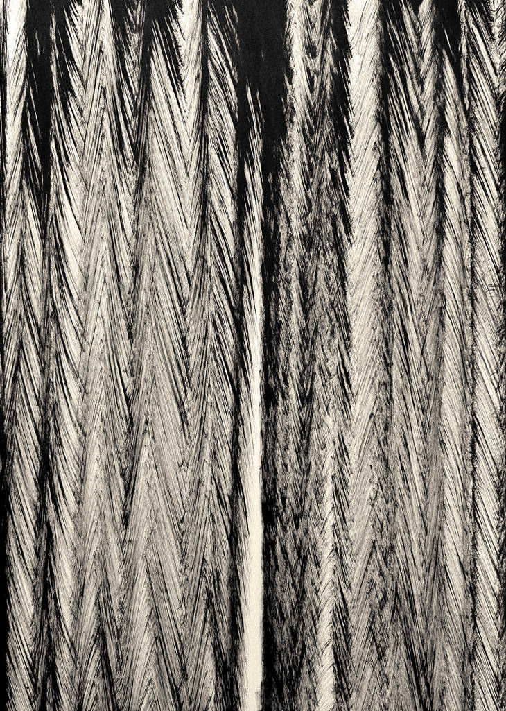 RESO_05_2024 · 01/2024 · Fischgräte